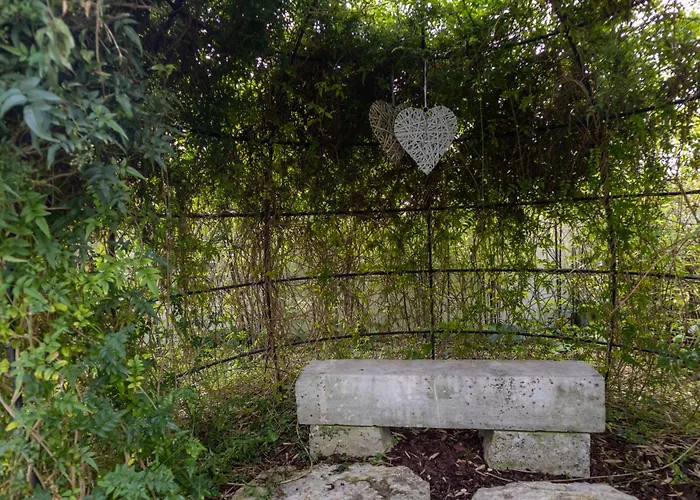 Penedo Da Saudade & بيت شباب