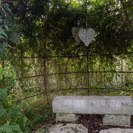 Penedo Da Saudade & Hostel